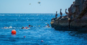 7 Activities in Cabo San Lucas - Snorkeling